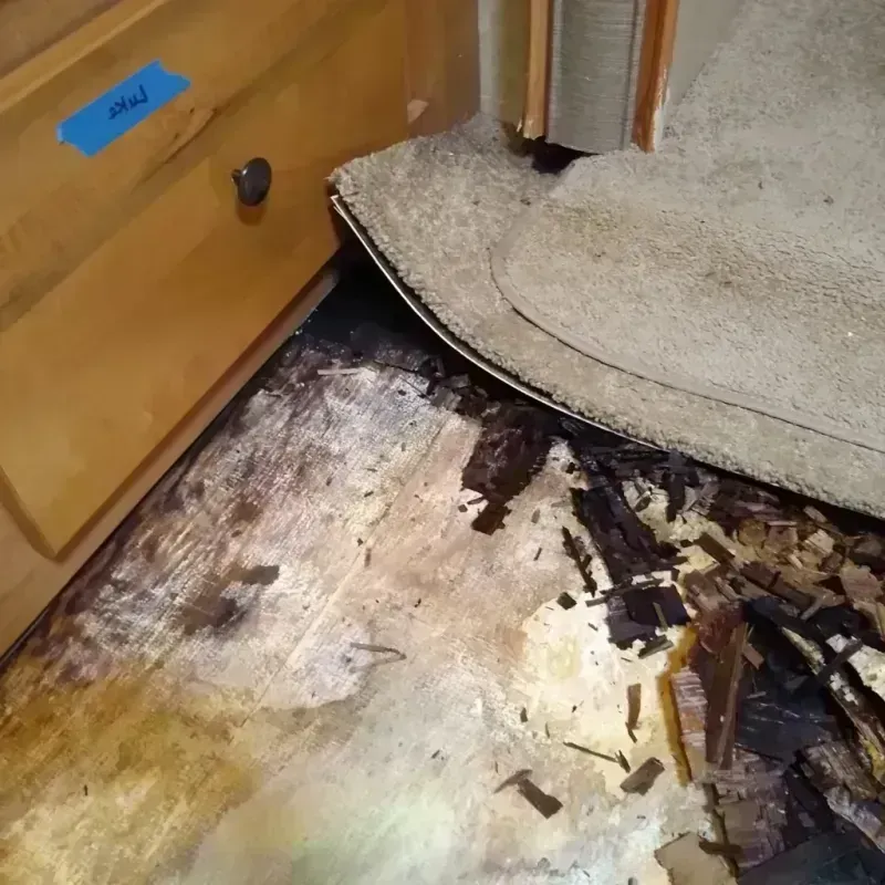 Wood Floor Water Damage in Morrisville, NC